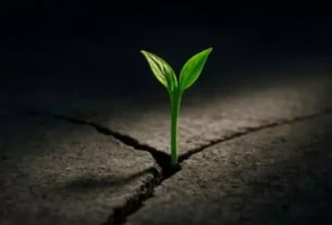 Broto verde surgindo em uma rachadura no asfalto, simbolizando a força do cérebro humano para superar desafios.