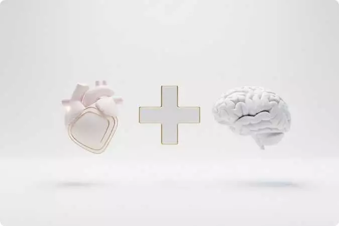 Cérebro e coração lado a lado, separados por um símbolo de adição, representando a união entre emoção e razão na educação emocional.